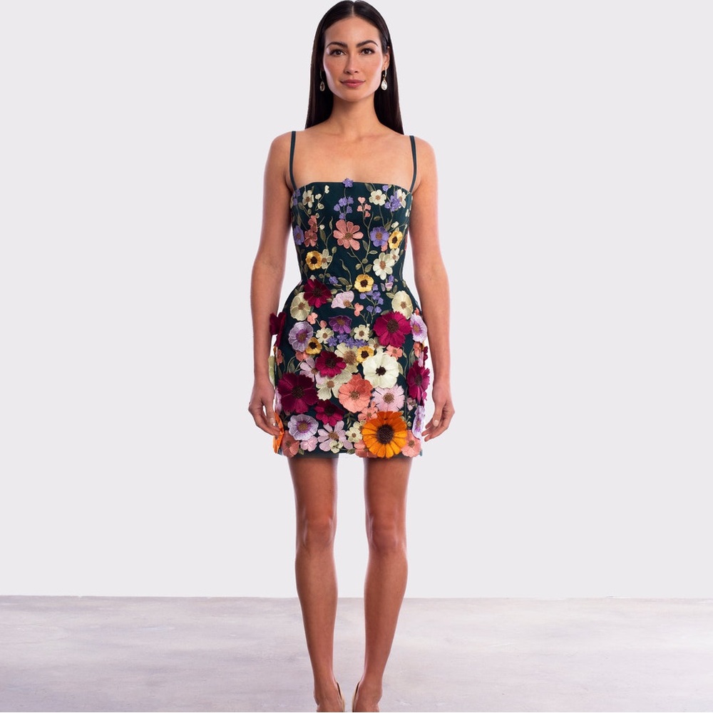 Helsi Floral Appliqué Dress